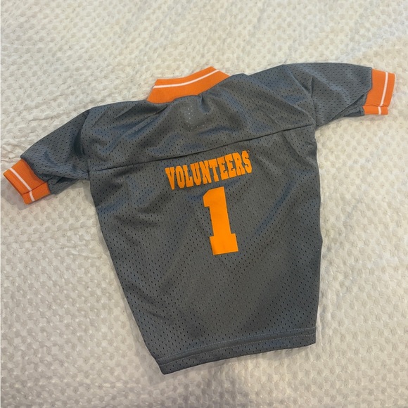 Other - Gray and Orange Dog Tennessee Volunteer Shirt